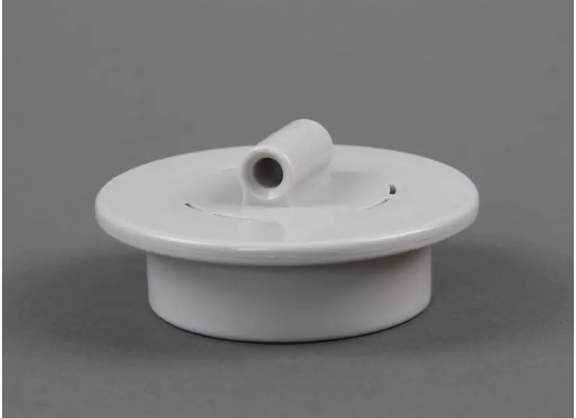 Extrémité brosse pour robot électrique - Hayward