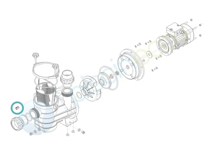 Insert laiton pour pompe Série HPS ou Série HGS - Hydroswim