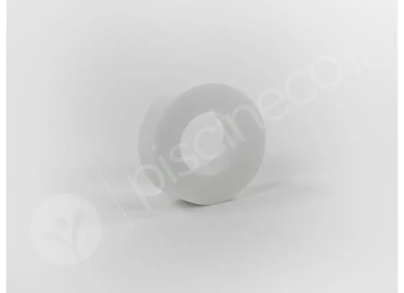Anneau mousse pour brosse combinée robot électrique - Dolphin