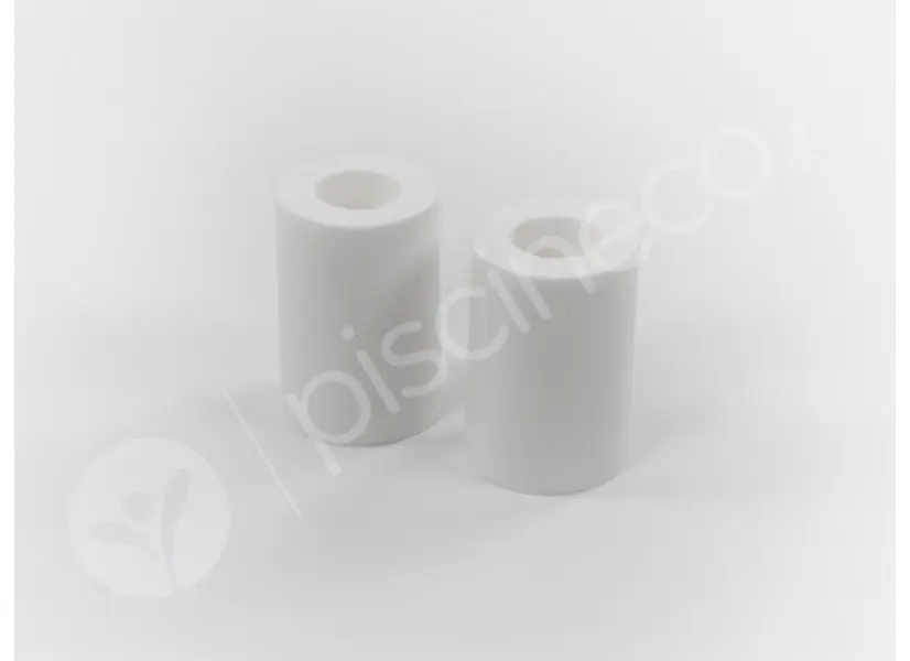 Lot de 2 brosses mousse pour robot électrique Nauty (TC) - Dolphin