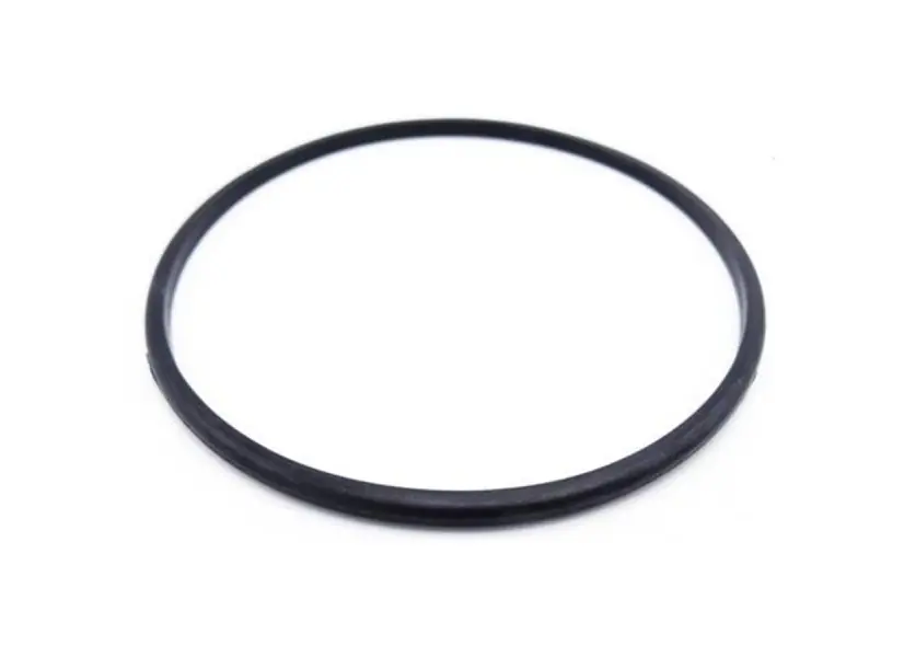 Joint de couvercle pré-filtre pour pompes Poolmax - Ubbink