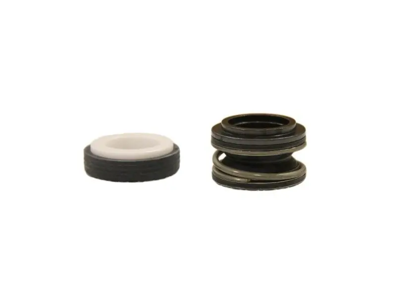 Garniture mécanique pour pompe Super Pump - Hayward