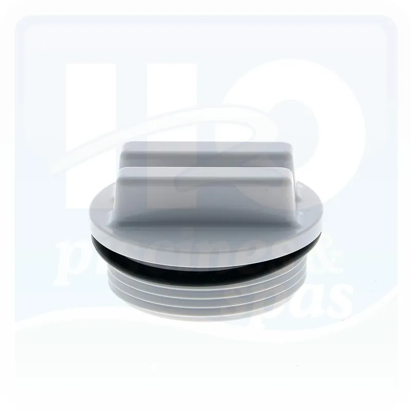 Bouchon avec joint des filtres à diatomées HAYWARD Pro Grid et Swimclear