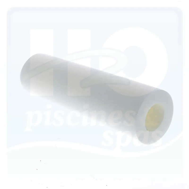 Brosse mousse des robots de piscine DOLPHIN