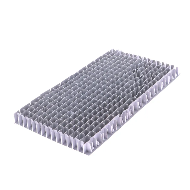 Brosse PVC grise des robots DOLPHIN Suprême M3™ - Suprême M4™ - Net - Master M3 & M4