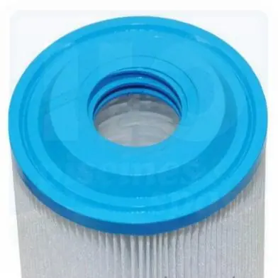 Cartouche compatible 4CH-949 pour spas