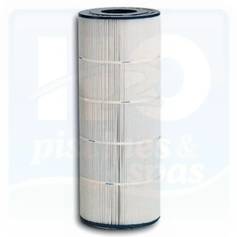 Cartouche pour filtre HAYWARD C3025EURO