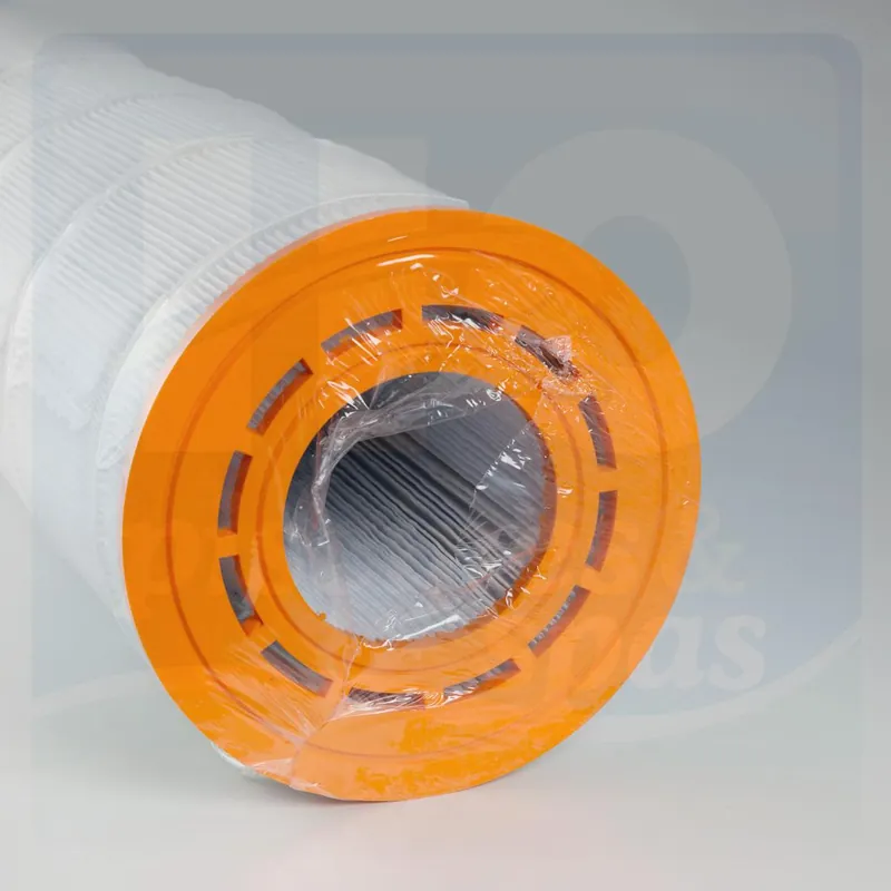Cartouche de rechange de filtre STA RITE 135 GPM / PF135