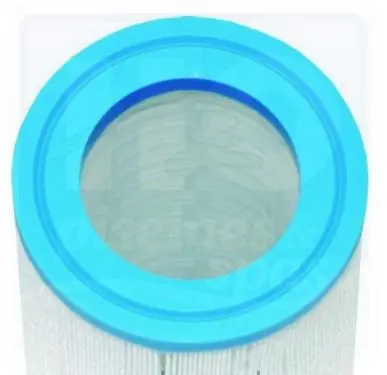 Cartouche filtrante Darlly 40103 de 178 mm pour Down East Spas