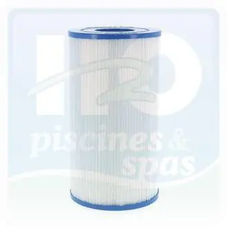 Cartouche filtrante Darlly® 40353 de 235 mm pour COLEMAN spas