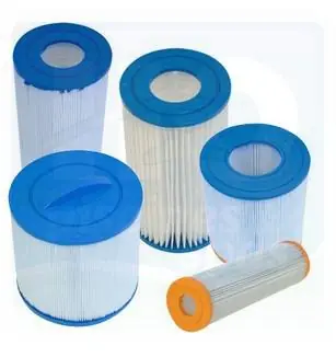 Cartouche pour filtre POSI CLEAR PXC-75 - Origine