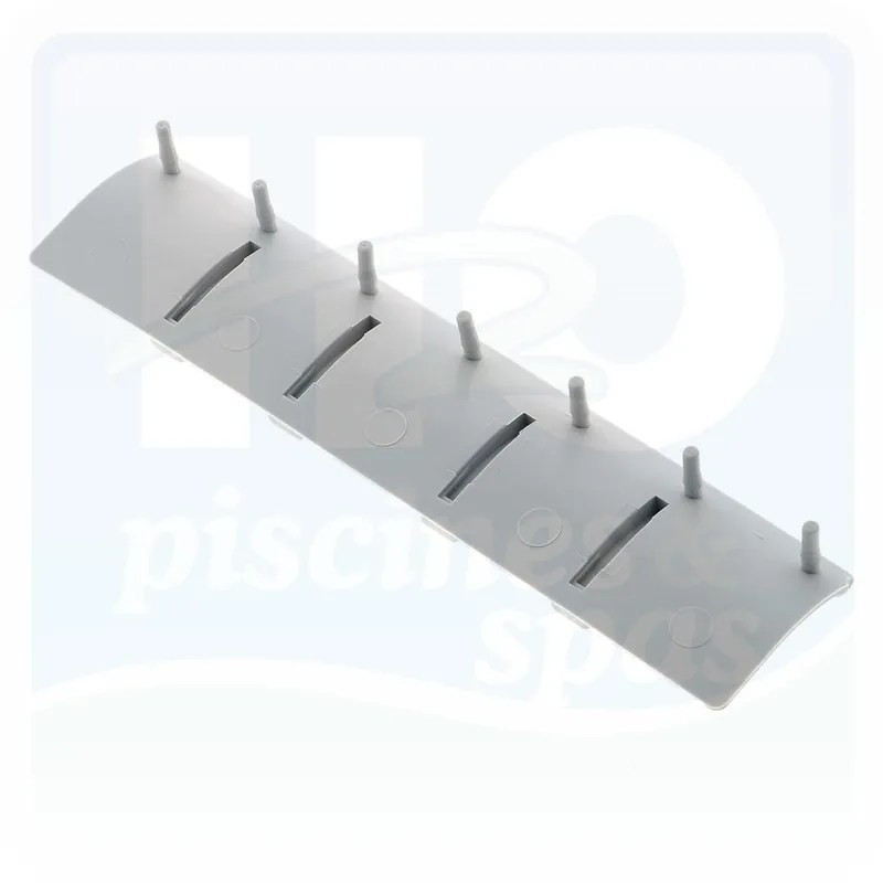 Clapet anti-retour Gris des robots de piscine DOLPHIN 2001™ - 3001 - Superkleen