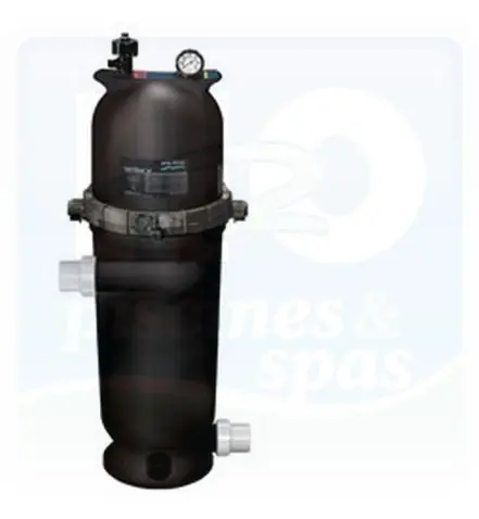 Filtre à cartouche Sta-Rite POSI-CLEAR RP 100 - 22.7 m3/h