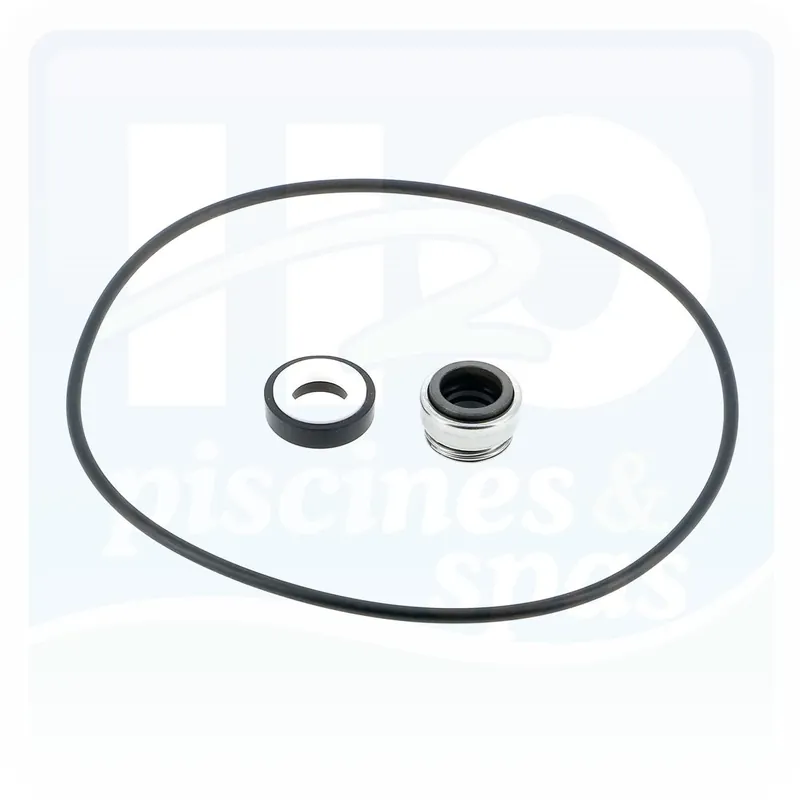 Garniture mécanique avec joint pour surpresseur DAB® Jetcom™