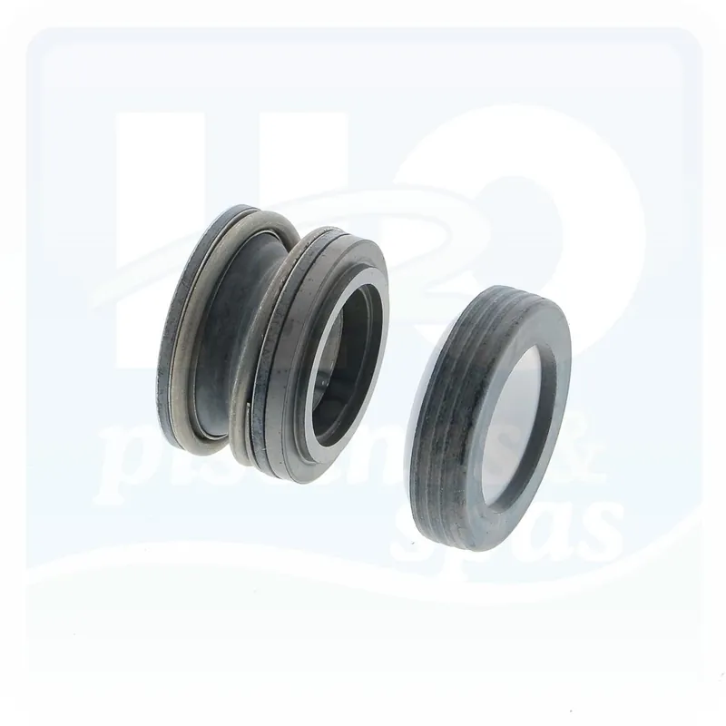 Garniture mécanique pour pompes de filtration piscine STA RITE® 5P6R™