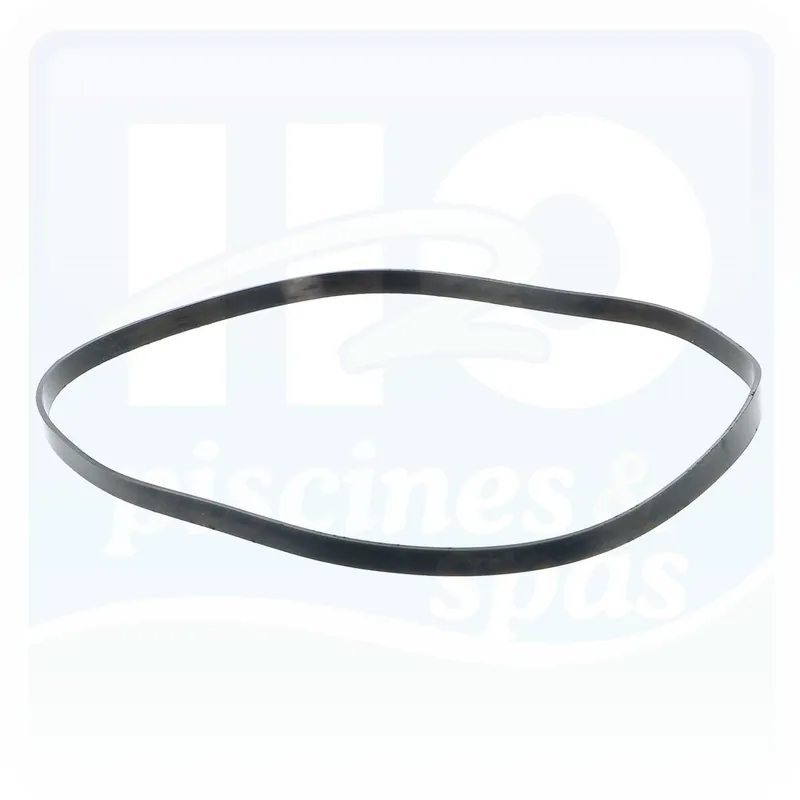 Joint de corps des pompes HAYWARD® Max Flo™ - Super Pump™ et Powerline plus™