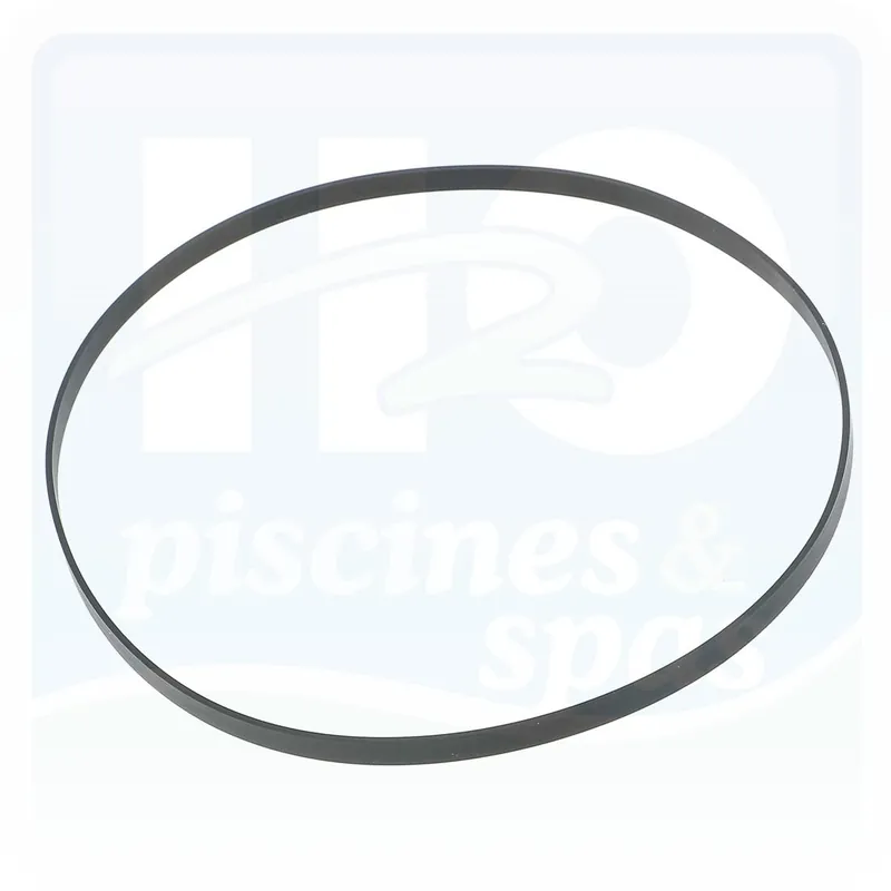 Joint de corps pompe HAYWARD Super pump II - Rs II - Superpool II