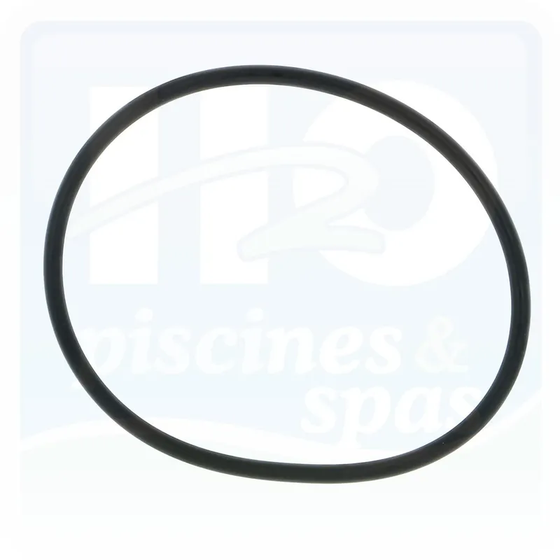 Joint de couvercle de pompe ASTRAL Glass - Columbia - Victoria sprint...