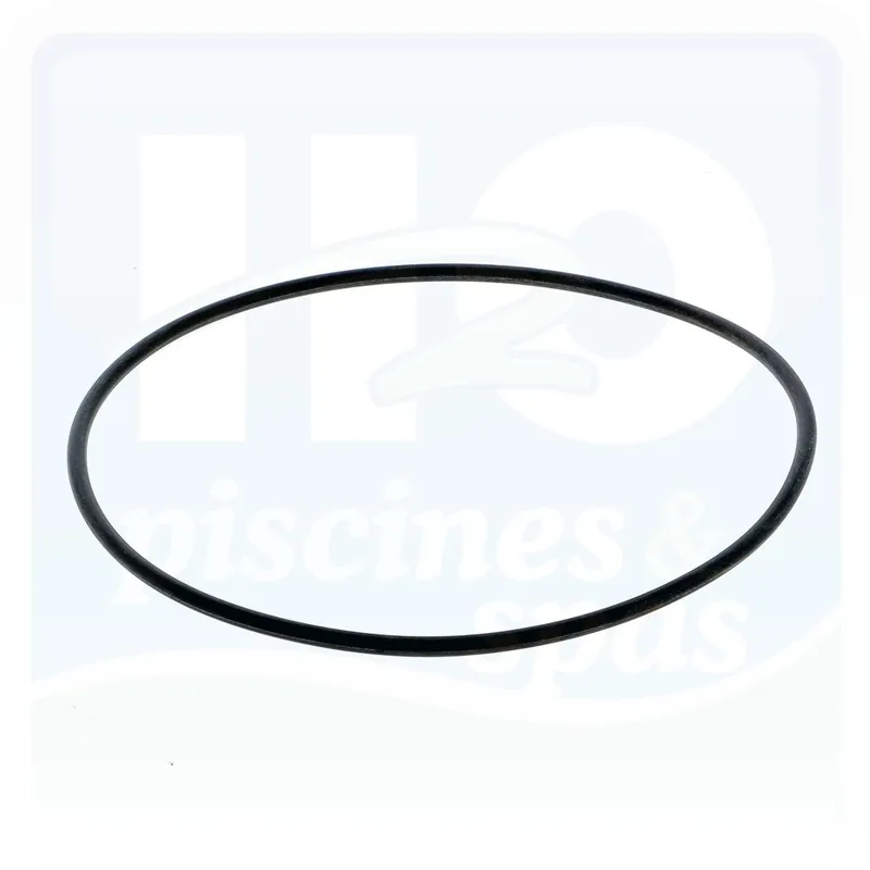 Joint de couvercle de vanne PRAHER® 1"1/2 pour filtre de piscine