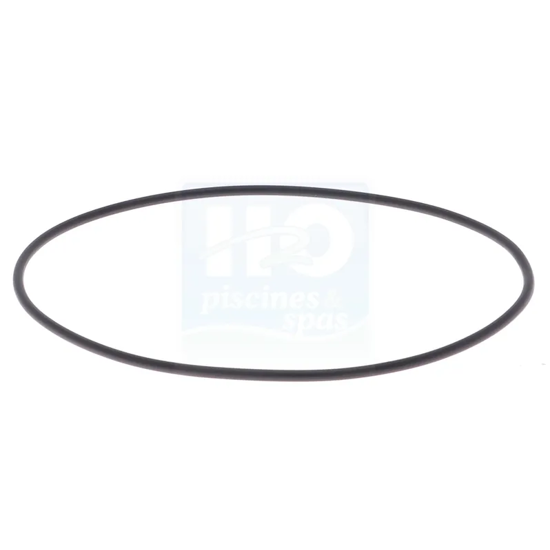 Joint de couvercle des vannes PRAHER SM20 - STA RITE Pantera 2"