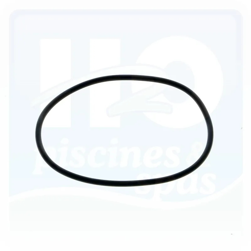 Joint de couvercle pour Chlorinateur - Brominateur Perform-Max 940