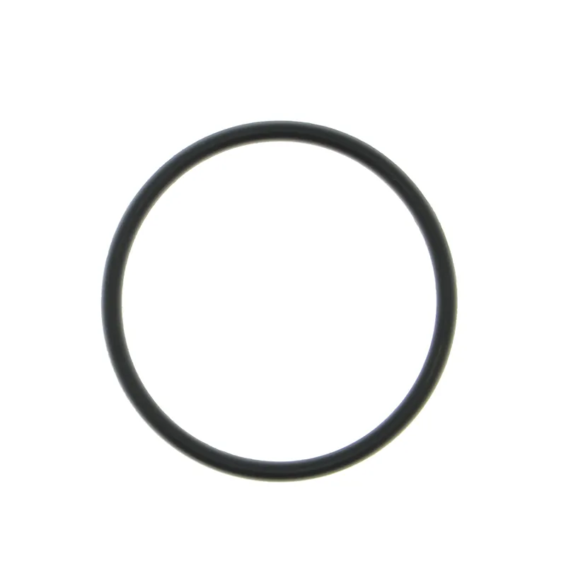 Joint de raccord de filtre à sable AQUALUX Cocoon - Apollo - Xeo / Cellule CCEI