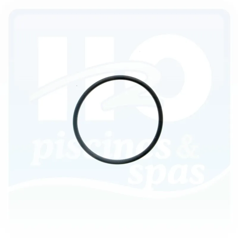 Joint de raccord des pompes SPECK® Magic - Aquaplus - Streamey - vanne TOP 3000 et filtre NAJA
