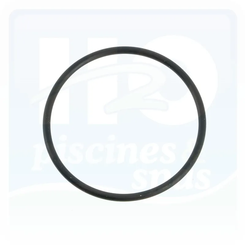 Joint torique de raccord des pompes SPECK® Eurostar 300-400 et Belstar™