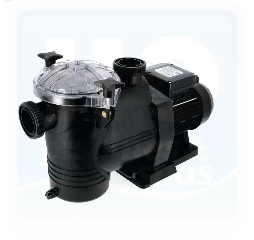 Pompe de filtration ASTRAL New Europa avec demi-union de 0.75 cv - 9.5 m3/h - Monophasé