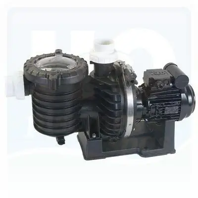 Pompe de filtration STA RITE 5P6RF1 - 1.5 cv - 24.5m/3 - Monophasé - eau douce