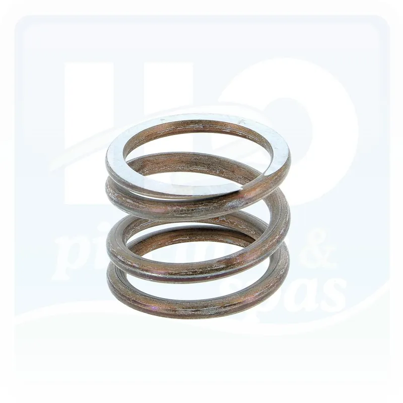 Ressort des vannes 6 voies HAYWARD® - PRAHER® - MIDAS® - STA RITE® - TOP 3000™ - KRIPSOL