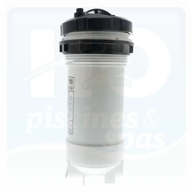 Skimmer en ligne 1.5 " avec devissage par le haut WATERWAY pour spa