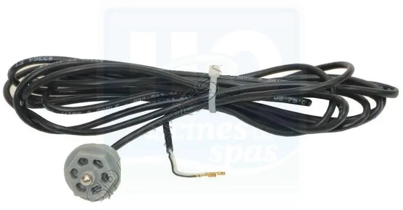 Sonde de température SUNDANCE pour spas