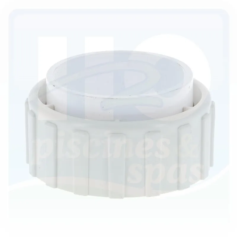 Union 2" pour aspiration de pompe Waterway pour spas