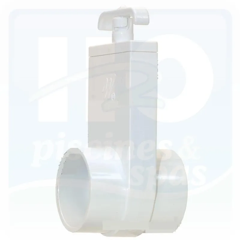 Vanne guillotine femelle - femelle WATERWAY en 2" pour spa