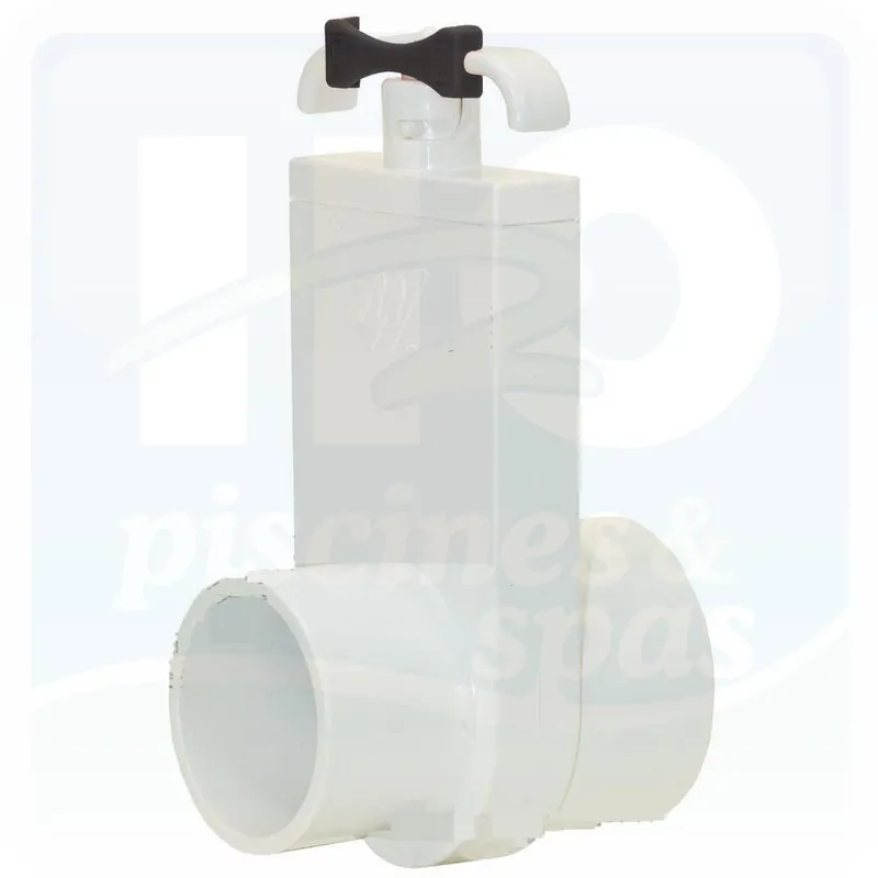 Vanne guillotine WATERWAY 2" mâle - femelle pour Spa