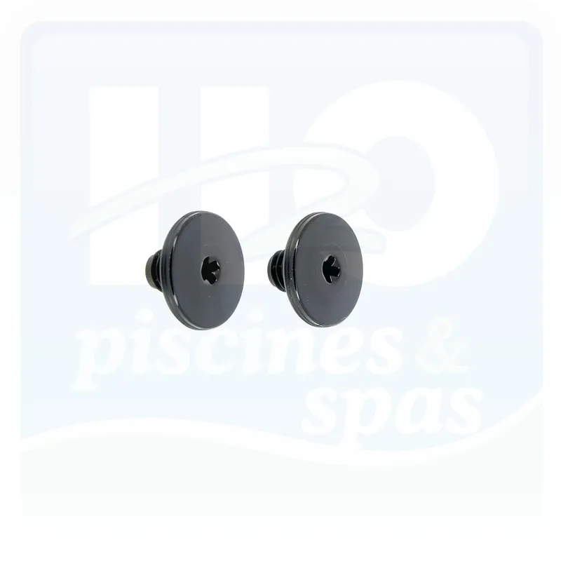 Vis de maintien noires pour robot POLARIS Quattro sport