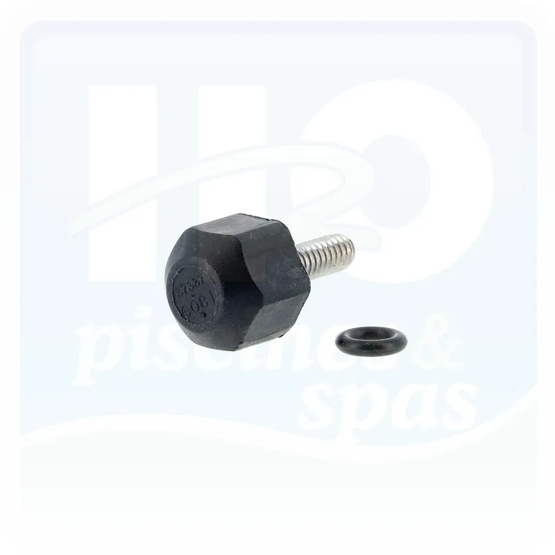 Vis de turbine de la pompe PENTAIR Swimmey