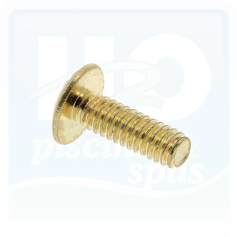Vis laiton de turbine pompe STA-RITE P2R triphasé
