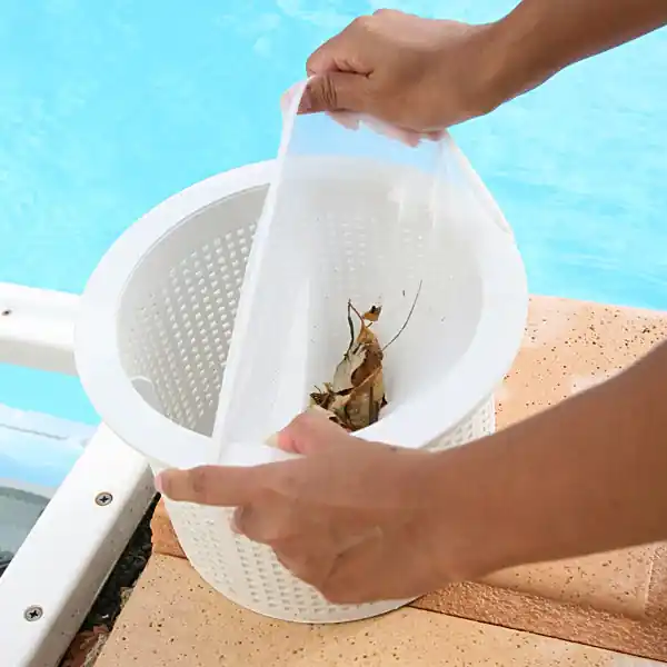 Pré-filtre piscine JD Skim