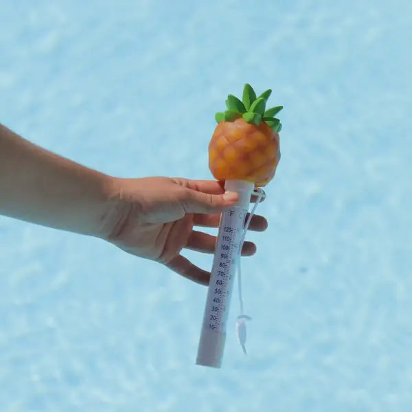 Thermometre pour piscine Ananas