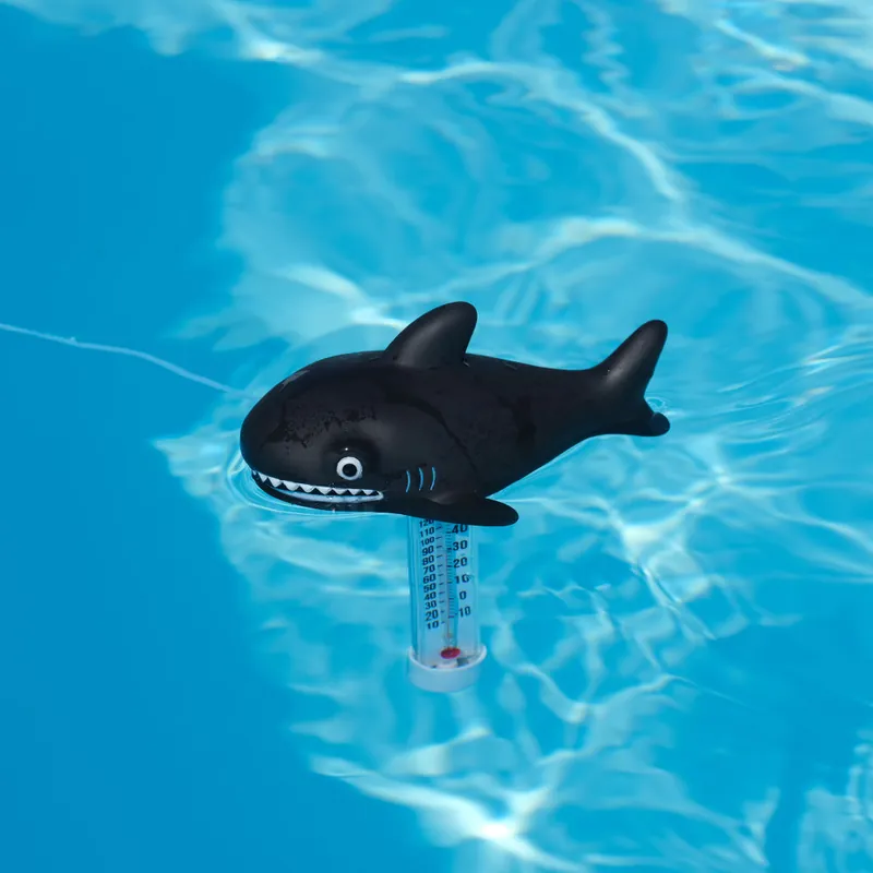 Thermomètre original requin Squale