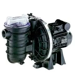 Pompe Sta rite s5p2r 1,5 cv Mono occasion