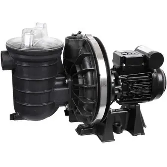 Pompe Sta-Rite 5P2R 0.75 CV Mono occasion