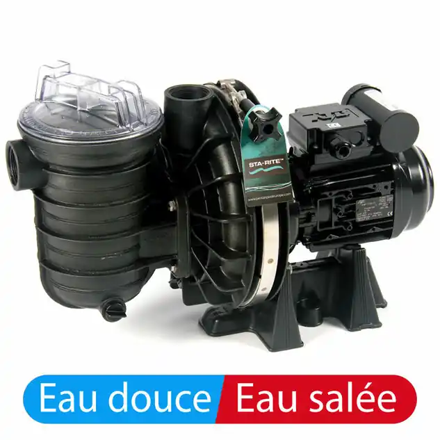 Pompe Starite sel s5pr2 1CV triphasé d‘occasion