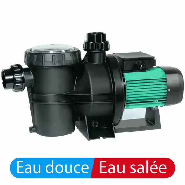 Pompe Silen2 300 monophasé d‘occasion