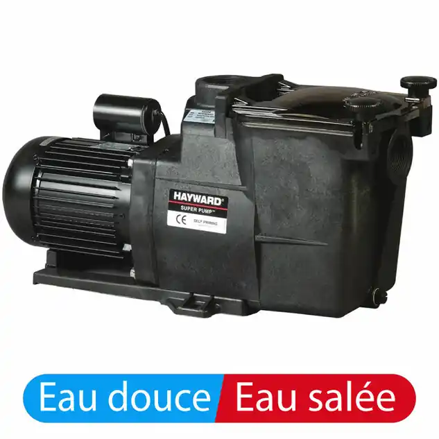 Superpump Hayward 1,5 CV monophasé 2" d‘occasion