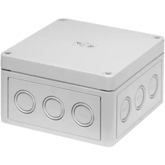 Carte d‘extension modbus Ruck (COM 02)