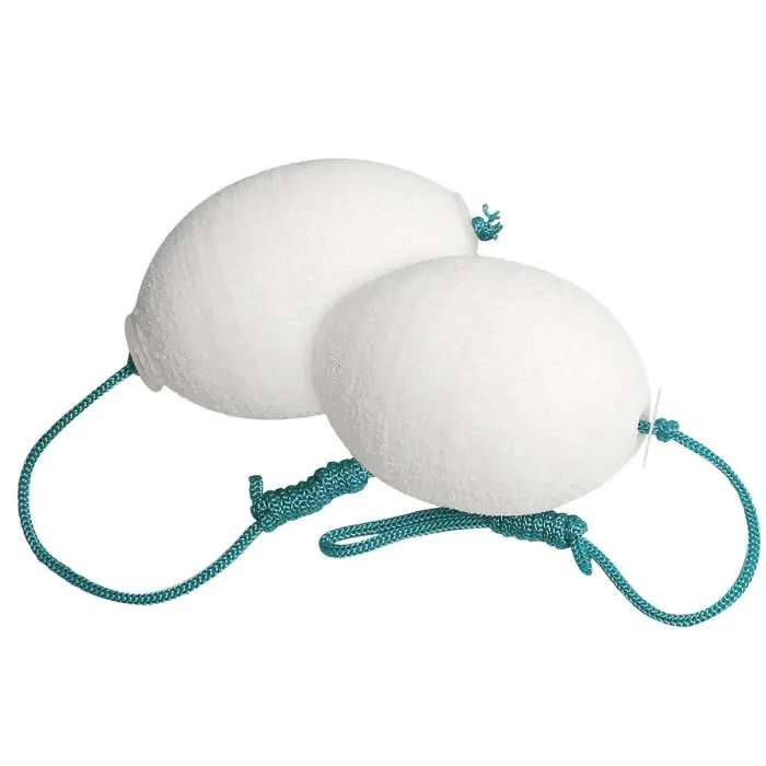 Spa 2 éponges absorbantes – Bayrol