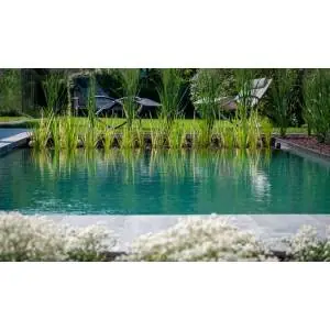 Groupe filtration piscine TYPE IV Limpide